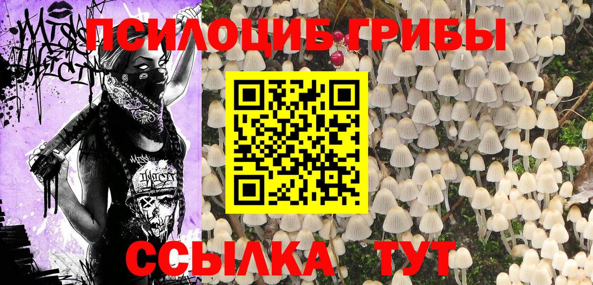 Псилоцибиновые грибы прущие грибы  Вход с VPN  Галлюциногенные грибы Magic Shrooms  купить наркотик  Дивногорск 